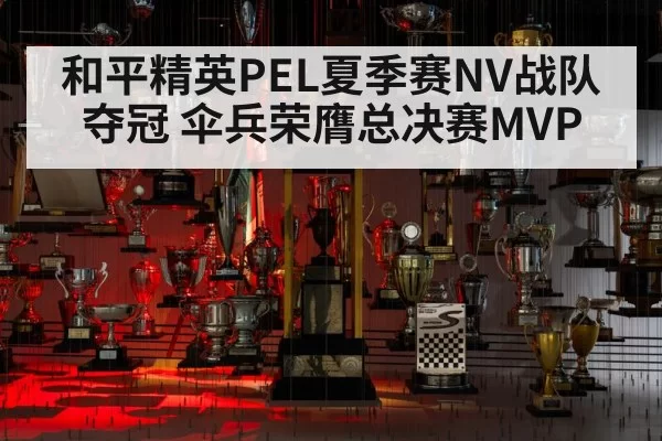 和平精英PEL夏季赛NV战队夺冠 伞兵荣膺总决赛MVP