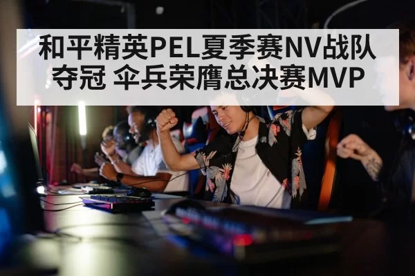 gaming team victory